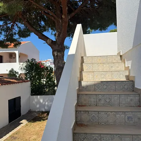 Balsamaris Manta Rota