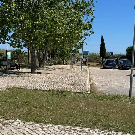 Balsamaris *